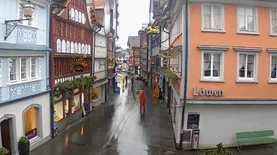 Sec4- GIF for Someone is here (left)